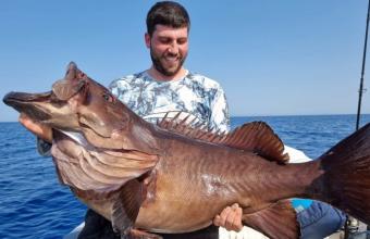 Γιγάντιο ψάρι στα «δίχτυα» ψαράδων στην Κρήτη- Δείτε φωτό και βίντεο 