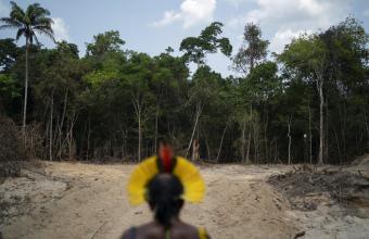 Βραζιλία: Η αποψίλωση του δάσους του Αμαζονίου έσπασε ρεκόρ το πρώτο 6μηνο	