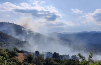 Φωτιά στο Άστρος Κυνουρίας