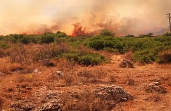 Φωτιά σε δασική έκταση 