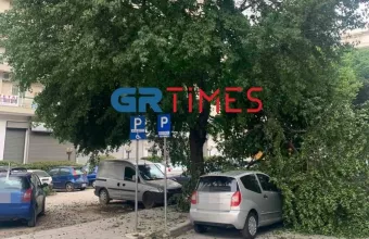 Θεσσαλονίκη: Πάνω από δέκα πτώσεις δέντρων λόγω του έντονου αέρα