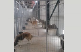 Σύγχρονο καταφύγιο για ζώα στην Τρίπολη.