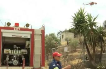 Δήμαρχος Αρτέμιδας: Απειλήθηκαν σπίτια από τη φωτιά αλλά η επέμβαση ήταν άμεση