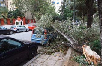 Θεσσαλονίκη, Καταιγίδα, Μπόρα, Πτώσεις Δέντρων, Καιρός, 