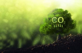 Περιβαλλοντικό «καμπανάκι»: 50% υψηλότερα τα επίπεδα CO2 στην ατμόσφαιρα,