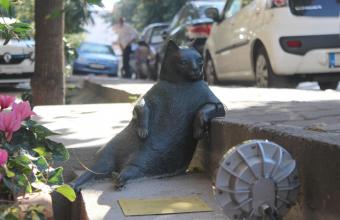 Η γάτα της Κωνσταντινούπολης που ρέμβαζε και έγινε άγαλμα