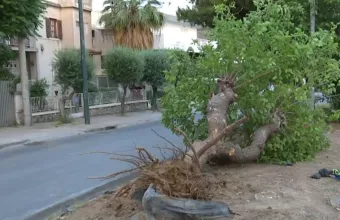 To Δέντρο πάνω στο οποίο προσέκρουσε ο 18χρονος στο Χαλάνδρι 
