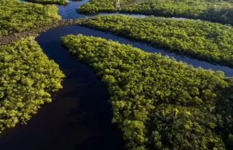 Στον βρετανό δημοσιογράφο Ντομ Φίλιπς ανήκουν τα λείψανα που βρέθηκαν στον Αμαζόνιο.