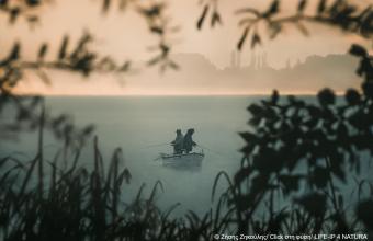 WWF: Εικόνες μοναδικής ομορφιάς από την ελληνική φύση στον διαγωνισμό «Natura 2000 
