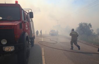 Πυροσβεστικό όχημα και πυροσβέστες στη φωτιά 