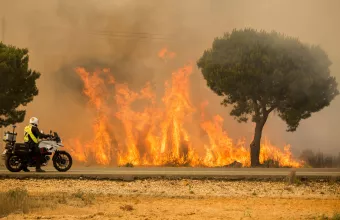 Η κλιματική αλλαγή θα αυξήσει τις δασικές πυρκαγιές 