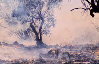 Μάχη με την φωτιά σε Αχαία- Κρήτη- 15.000 στρέμματα γης, κάηκαν στο Ρέθυμνο