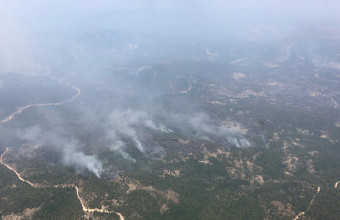 Φωστιά στη Δαδιά Έβρου: Σκληρή μάχη με τις φλόγες για να σωθεί το παρθένο δάσος - Δύο τα μέτωπα