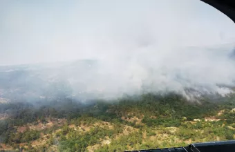 Μάχη με τις φλόγες στην Δαδιά να μην φτάσει η φωτιά στις φωλιές του Μαυρόγυπα