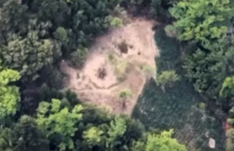 Φωκίδα: Η κρυμμένη φυτεία με εκατοντάδες δενδρύλλια κάνναβης και εξόδους διαφυγής