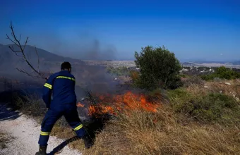 Φωτιά στο Αλιβέρι