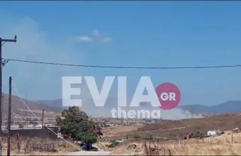 Πυρκαγιά στην Εύβοια