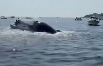 Ανατριχιαστικό βίντεο στις ΗΠΑ: Φάλαινα αναδύεται και πέφτει σε σκάφος 
