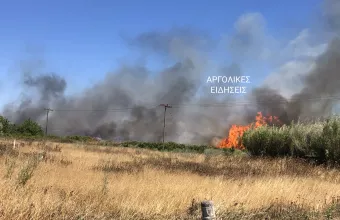 Πυρκαγιά στην Αργολίδα
