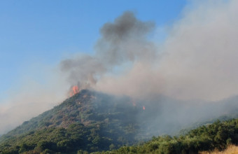 Τρία τα μέτωπα φωτιάς στην Ηλεία