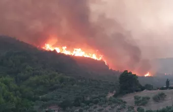 Δαδιά Έβρου