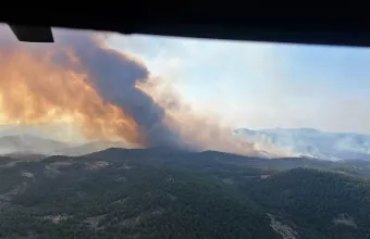 Πυρκαγιά στη Δαδιά