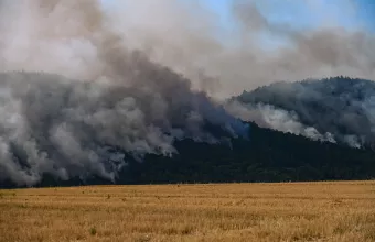 Πυροσβεστική: Bελτιωμένη εικόνα στη Δαδιά, οριοθετημένη αναζωπύρωση στη Βρίσα