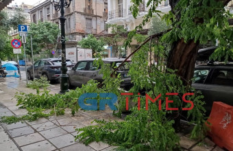 Έπεσαν δέντρα στη Θεσσαλονίκη από την κακοκαιρία