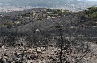 Φωτιά στην Πεντέλη: Είκονες καταστροφής, η επόμενη ημέρα