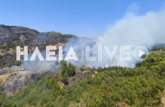 Κορυφή Πύργου Ηλείας: Φωτιά