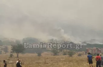 Φωτιά σε Ελάτεια - Βασιλικά Φθιώτιδας: Επιχειρούν 7 αερoσκάφη κι 1 ελικόπτερο