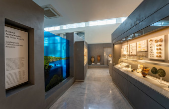 Το νέο μουσείο Πολυγύρου