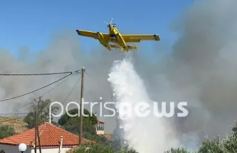 Φωτιά στην Ηλεία: Πλησιάζει σπίτια - Διπλασιάστηκαν οι πυροσβεστικές δυνάμεις