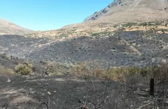 Φωτιά στο Ρέθυμνο