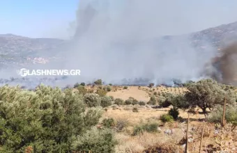 Φωτιά στο Ρέθυμνο