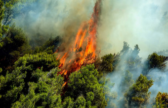 Πυρκαγιές στην Ελλάδα: 27 πύρινα μέτωπα το τελευταίο εικοσιτετράωρο
