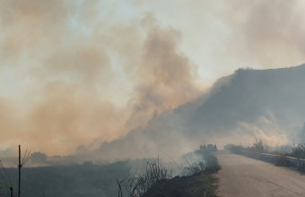 Δύο μέτωπα φωτιάς στην Ηλεία: Μήνυμα από το 112 για εκκένωση του οικισμού Πηγάδι