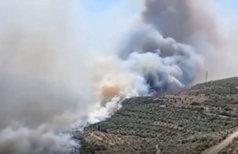 Φωτιά στην Βοιωτία: Μάχη με τις φλόγες που βρίσκονται 1 χλμ. από το Δίστομο	