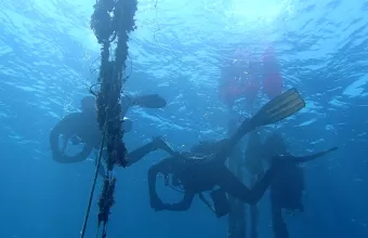 Στην Αλόννησο χρησιμοποίησαν υποβρύχιο ρομπότ 