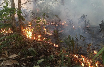 Ρεκόρ 15ετίας για τις πυρκαγιές στον Αμαζόνιο 
