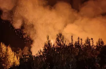 Φωτιά τώρα στην Ανάληψη Αμαλιάδας