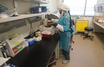 Ευλογιάς των πιθήκων- Ελλάδα: Στα 50 συνολικά τα κρούσματα
