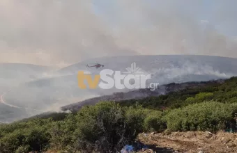 Λαμία: Ολονύχτια μάχη με τις φλόγες στο Πετρωτό Δομοκού 