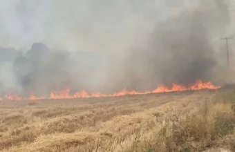 Φωτιά στον Σχίνο Μεσσηνίας - Μήνυμα του 112  για εκκένωση του Μεσοχωρίου