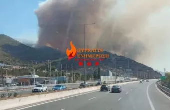 Φωτιά στη Νέα Πέραμο