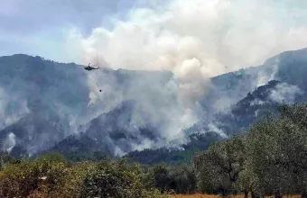 φωτια Ροδοπη Παπικιο