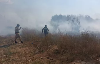 Φωτιά τώρα στον Πύργο Ηλείας 