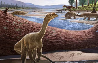 Ανακαλύφθηκε ο Mbiresaurus ο αρχαιότερος δεινόσαυρος της Αφρικής