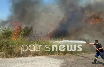 Φωτιά τώρα σε δασική έκταση στη γέφυρα Αλφειού στον Πύργο Ηλείας