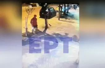 Γατάκι, Θεσσαλονίκη, Γάτα, 